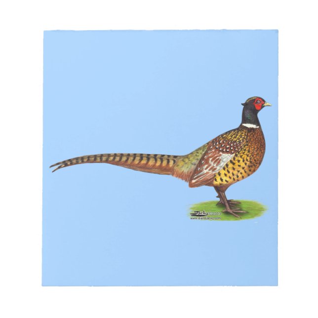 Bloco De Notas Ringneck Pheasant Rooster (Frente)