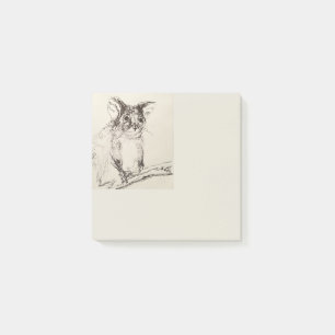 Bloco De Notas Ringtail Possum Austrália