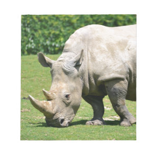 Bloco De Notas Rinoceronte branco pastando