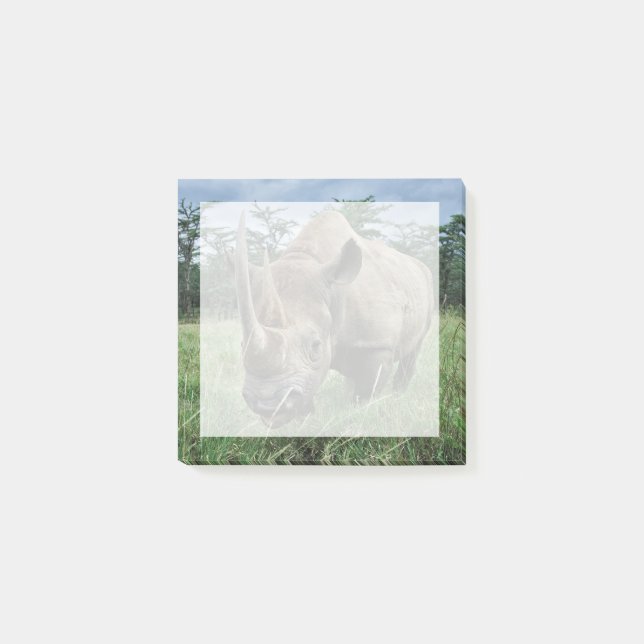 Bloco De Notas Rinoceronte Negro | Quénia (Frente)