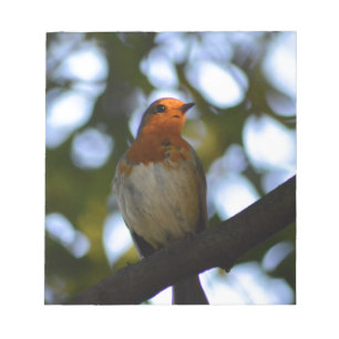 Bloco De Notas Robin