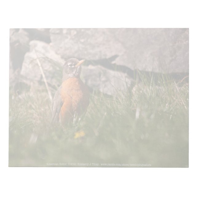 Bloco De Notas Robin Americano (Frente)