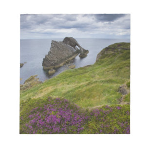 Bloco De Notas Rocha do violino do arco, Portknockie, Scotland