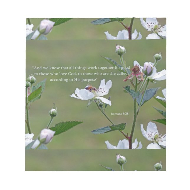 Bloco De Notas Romanos 8:28 (Frente)