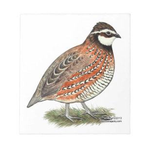 Bloco De Notas Rooster Bobwhite Quail