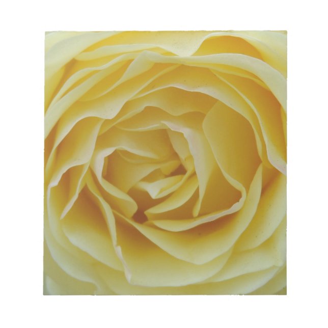 Bloco De Notas Rosa Amarela (Frente)