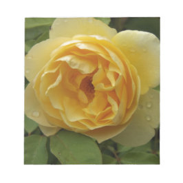 Bloco De Notas Rosa Amarela