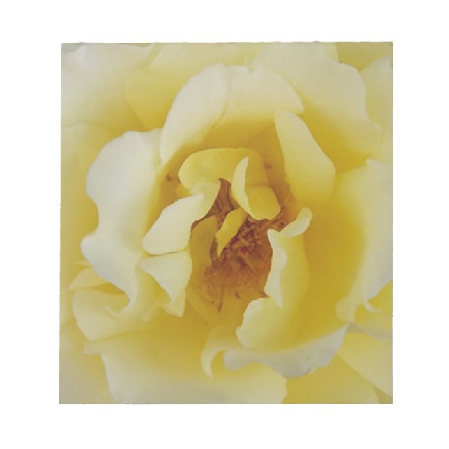 Bloco De Notas Rosa Amarela (Frente)