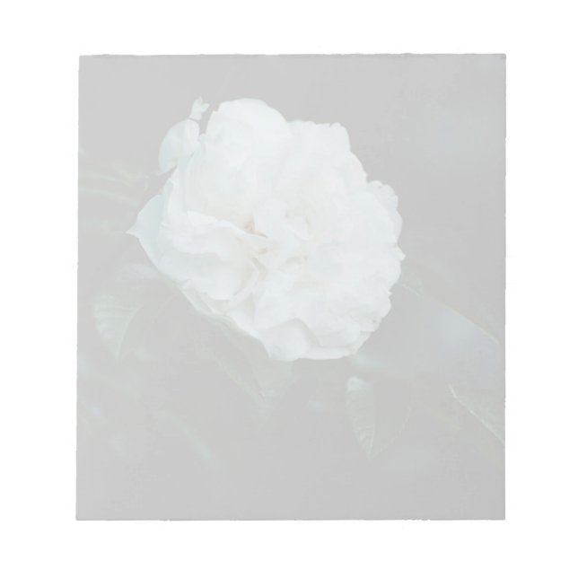 Bloco De Notas Rosa branca (Frente)