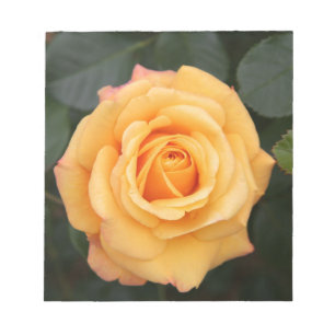 Bloco De Notas rosa floresce amante esposa casal