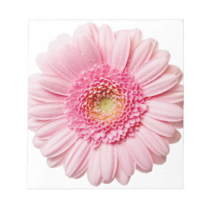 Bloco De Notas Rosa Gerbera Daisy