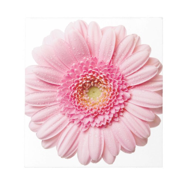 Bloco De Notas Rosa Gerbera Daisy (Frente)