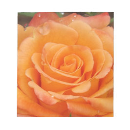 Bloco De Notas Rosa laranja