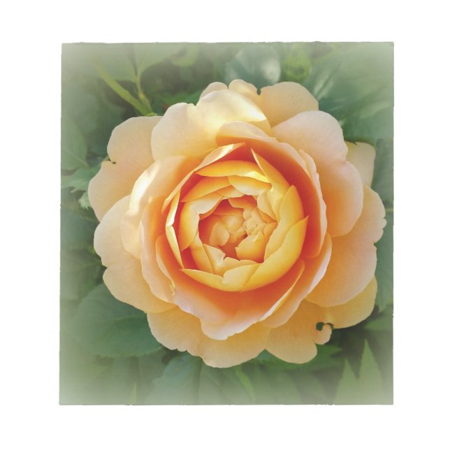 Bloco De Notas rosa ouro (Frente)