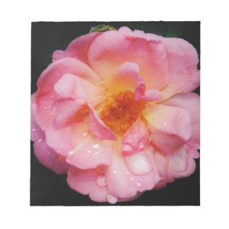 Bloco De Notas Rosa Rosa Rosa Rosa Cor-de-Rosa com Guias Negras