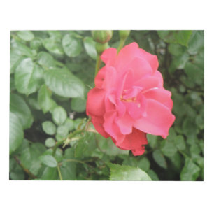 Bloco de notas Rosa selvagem