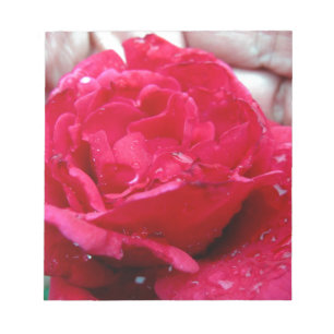 Bloco De Notas Rosa vermelha