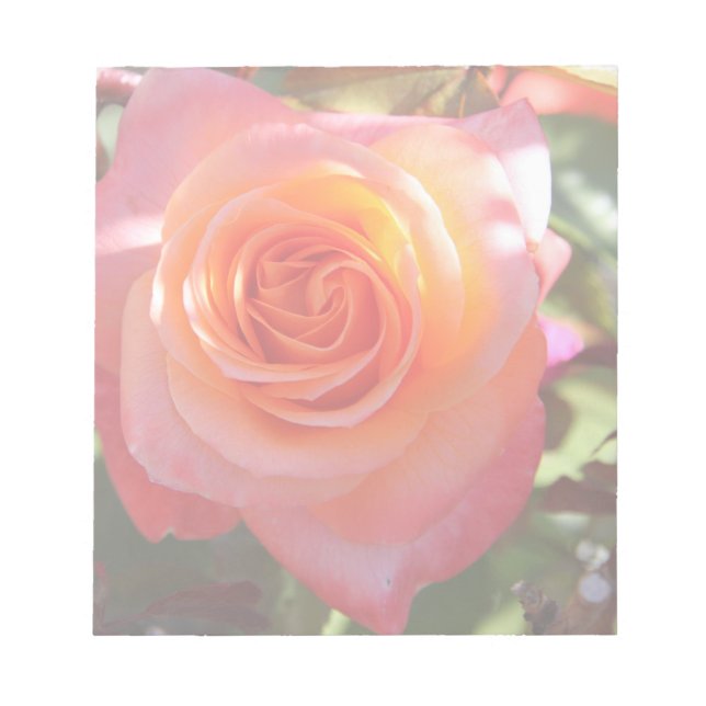 Bloco De Notas Rosa vibrante (Frente)