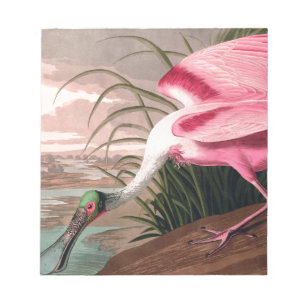 Bloco De Notas Roseate Spoonbill Audubon Bird Willife