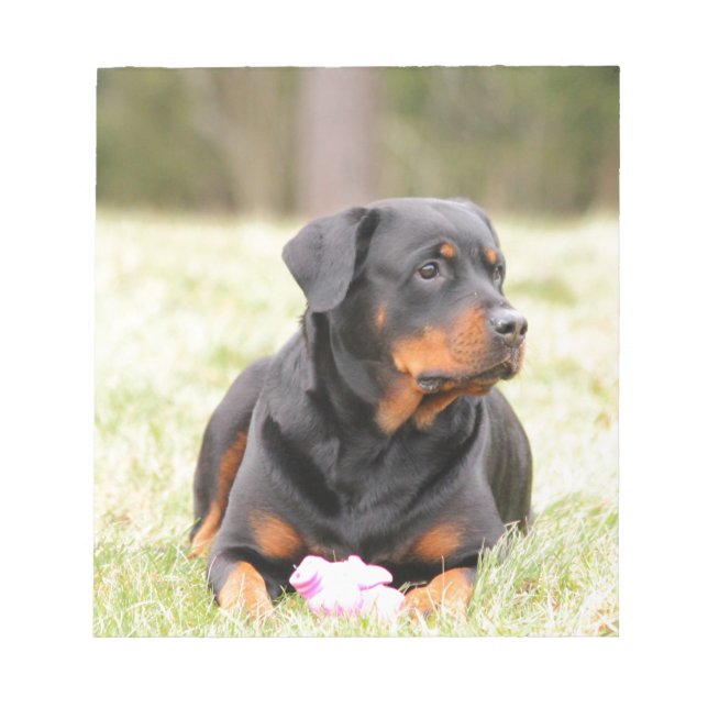 Bloco De Notas Rottweiler (Frente)