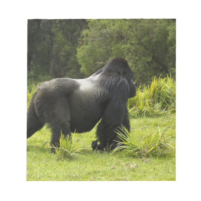 Bloco De Notas Ruanda, Parque Nacional dos Vulcões (Frente)