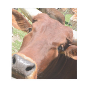 Bloco De Notas Safari Brown Cow