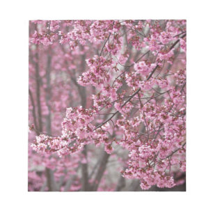 Bloco De Notas Sakura Cherry Blossoms Fluindo Rosa