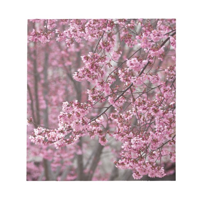 Bloco De Notas Sakura Cherry Blossoms Fluindo Rosa (Frente)