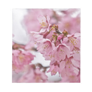 Bloco De Notas Sakura Cherry Blossoms Rosa Pálido