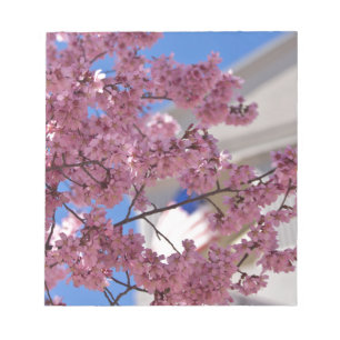 Bloco De Notas Sakura Flores de Cerejeira Americana