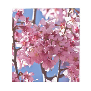 Bloco De Notas Sakura Flores de Cerejeira Estrelas Vermelhas