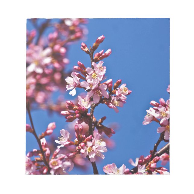 Bloco De Notas Sakura Flores de Cerejeira Tocando o Azul (Frente)