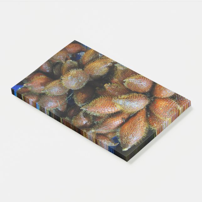 Bloco De Notas Salak [Fruta Cobra] (Inclinado)