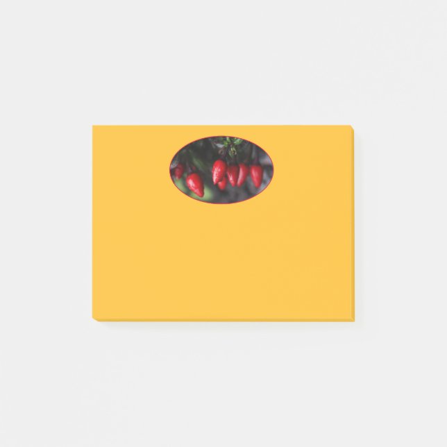 Bloco De Notas Salsa Chili Peppers Red Hot Garden (Frente)