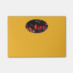 Bloco De Notas Salsa Chili Peppers Red Hot Garden