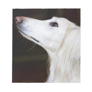 Bloco De Notas Saluki que olha acima