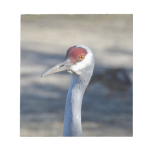 Bloco De Notas Sandhill Crane