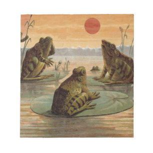 Bloco De Notas Sapos Lily Pads Ilustração da Lua