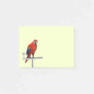Bloco De Notas Scarlet Macaw