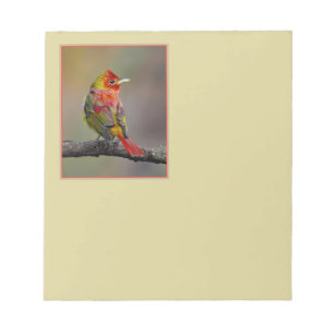 Bloco De Notas Scarlet Tanager Molting - Fotografia original