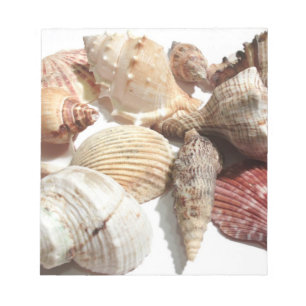 Bloco De Notas Seashells