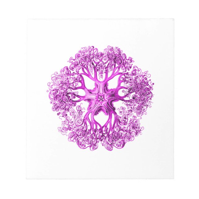 Bloco De Notas Seção de Tentáculo a Rosa (Frente)