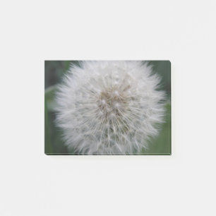 Bloco De Notas Seeding Dandelion Flower Posta que anota Pad