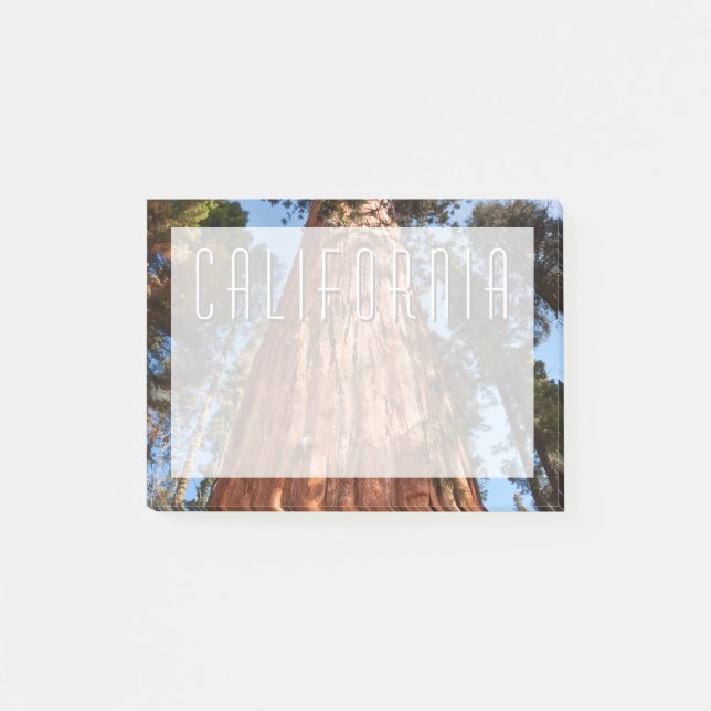 Bloco De Notas Sequóia Gigante Ascende (Frente)