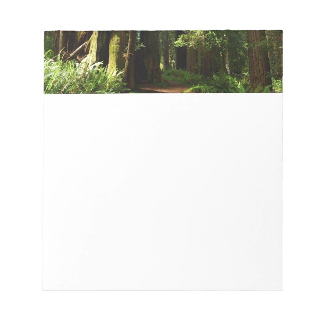 Bloco De Notas Sequóias e Samambaias no Parque Nacional das Sequó (Frente)