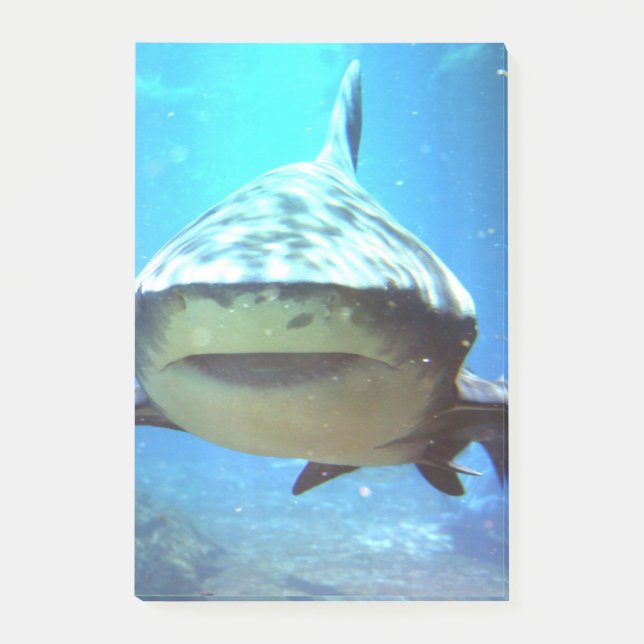 Bloco De Notas shark-5.jpg (Frente)