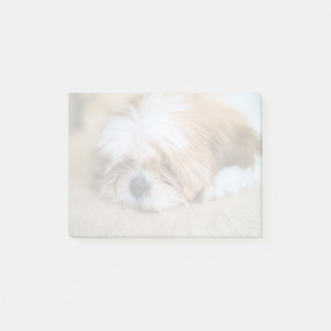 Bloco De Notas Shih Tzu (Frente)