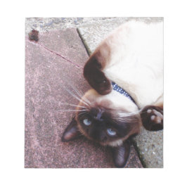 Bloco De Notas Siamês Repleto