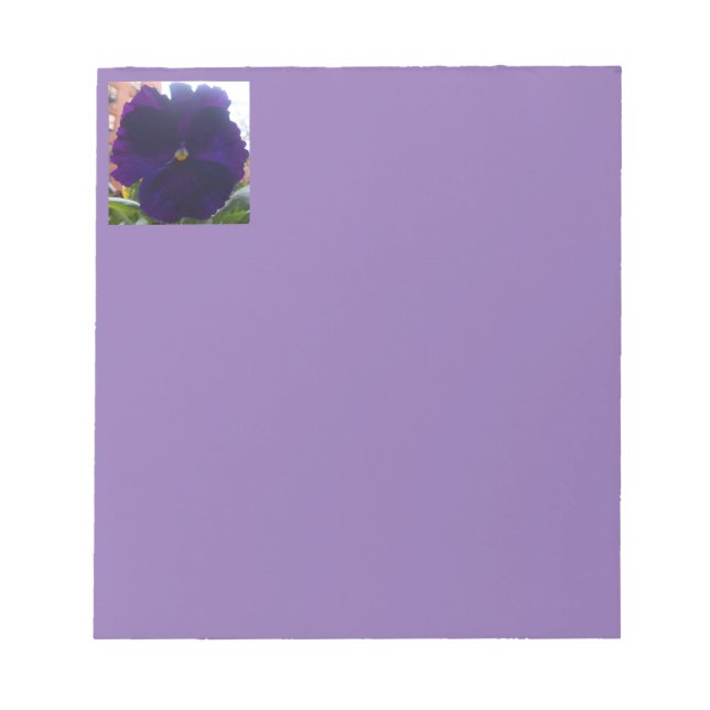 Bloco De Notas Sibylla (Frente)