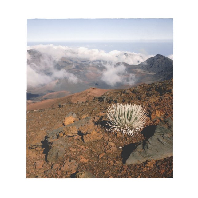 Bloco De Notas Silversword no cume da cratera Haleakala a partir  (Frente)